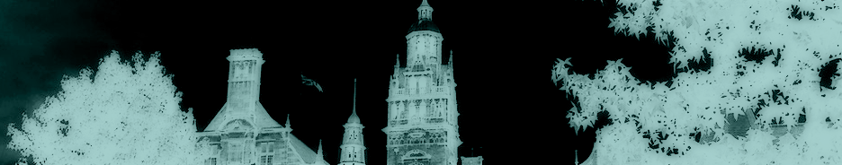 S.O.S. Sheffield Oversight and Scrutiny